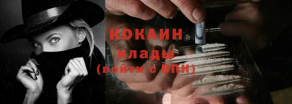 винт Мегион