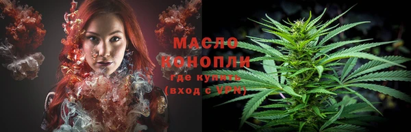 скорость Гусев