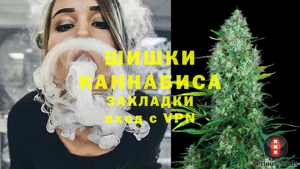 скорость Гусев