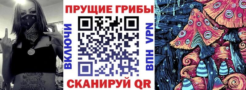 Галлюциногенные грибы мухоморы  omg ТОР  Шахунья 
